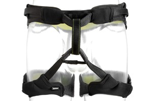 Web Mast Pro Main